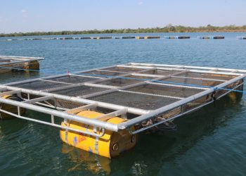 O Parque Aquícola Brejinho II foi um dos locais de visita técnica