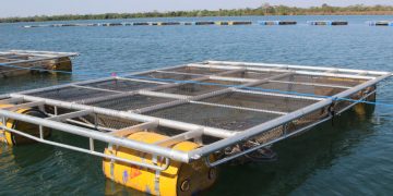 O Parque Aquícola Brejinho II foi um dos locais de visita técnica