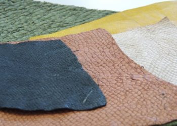 Couro de tambaqui: curso de curtimento acontece em Sorriso