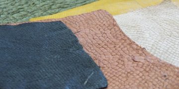 Couro de tambaqui: curso de curtimento acontece em Sorriso