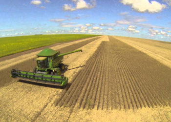 I Fórum Agro Sem Fronteiras discute parceria produtiva entre Argentina, Paraguai e Brasil