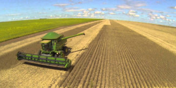 I Fórum Agro Sem Fronteiras discute parceria produtiva entre Argentina, Paraguai e Brasil