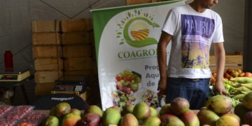 Cooperativas beneficiadas com prorrogação de DAPs