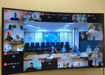 Cooperativismo tem nova reunião com ministra da Agricultura