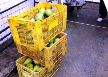 OCB/PB e Faepa propõem medidas para reduzir prejuízos e evitar desemprego no campo