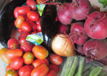 Educação contrata 17 cooperativas e associações de agricultores familiares no DF