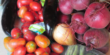 Educação contrata 17 cooperativas e associações de agricultores familiares no DF