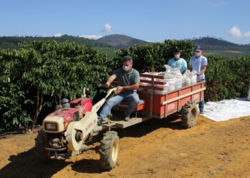 Vídeo celebra o 13° Lançamento da Colheita do Café no Espírito Santo