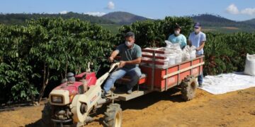 Vídeo celebra o 13° Lançamento da Colheita do Café no Espírito Santo
