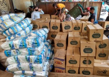 Dia C Goiás 2020 do Sistema OCB/GO entrega 22 toneladas de doações