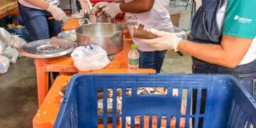 Alagoas realiza campanha Juntos Somos +