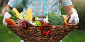 Projeto que facilita doação de alimentos aguarda sanção