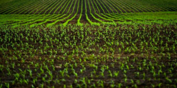 Cadastro Agroíntegro já recebe cooperativas