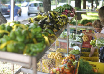 Cooperativas poderão doar alimentos excedentes