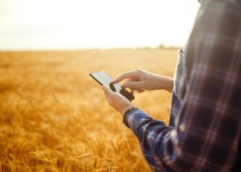 Aplicativo do Mapa permite a produtores acesso a informações sobre seguro rural