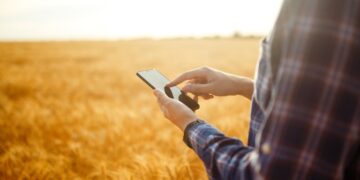 Aplicativo do Mapa permite a produtores acesso a informações sobre seguro rural