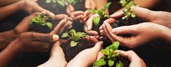 Cooperativas são destaque na preservação do meio ambiente