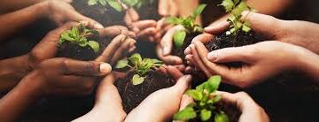 Cooperativas são destaque na preservação do meio ambiente