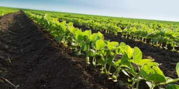 Justiça com as cooperativas agropecuárias
