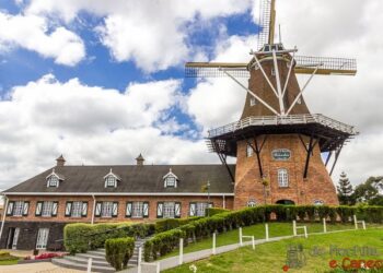 Castrolanda e o papel da cooperativa no ecossistema de inovação