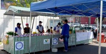 Primacredi homenageia feirantes com Feira PrimaSabores