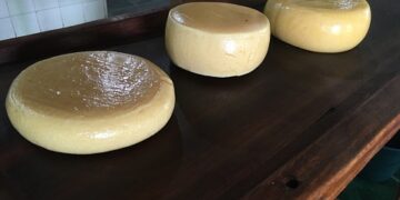 Decreto do governador Romeu Zema regulamenta produção e comercialização de queijos artesanais de Minas