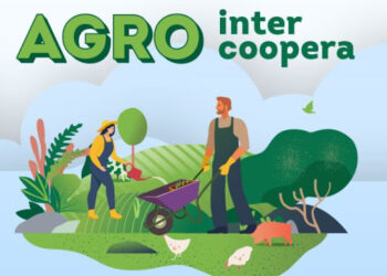 Mapa lança edital de Intercooperação