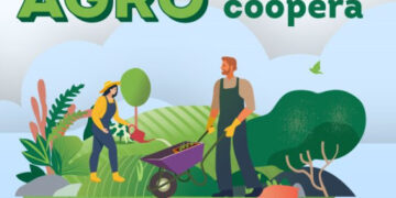 Mapa lança edital de Intercooperação