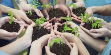 Programa de acesso a mercados irá selecionar cooperativas agro