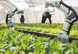 Coops são selecionadas para programa Agro 4.0