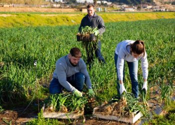 Divulgada lista de coops para programa de acesso a mercados