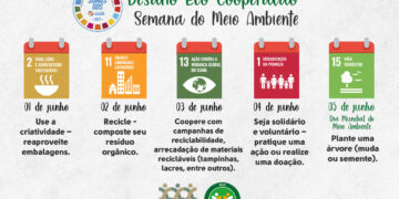 Desafio Eco coopeação
