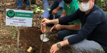 Plantio de ávore no projeto 50 Tons de Verde.