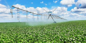 Governo anuncia Plano Safra 21/22