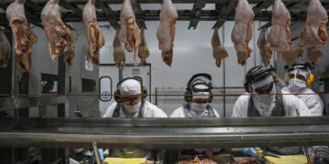 frango
