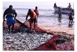pesca