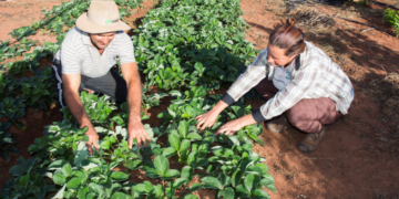 agricultores-familiares