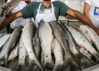 Setor de pescado