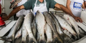 Setor de pescado
