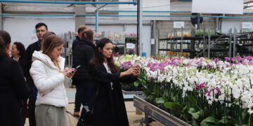 cooperativa-de-flores