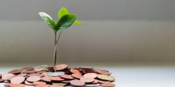 eduação financeira