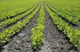 mudanças climáticas