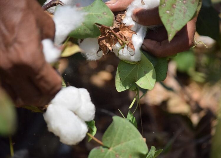 Congresso Brasileeiro de Alggodão