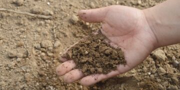 crise-dos-fertilizantes