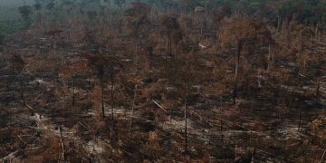 desenvolvimento-sustentável