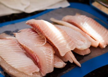 Produção de tilápia