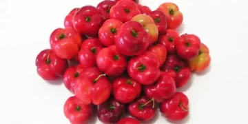 Produção-de-frutas