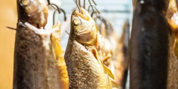 seafood show
