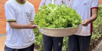Horta orgânica
