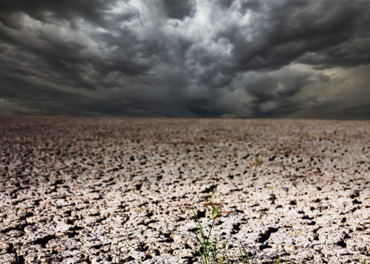 Seguro contra chuvas